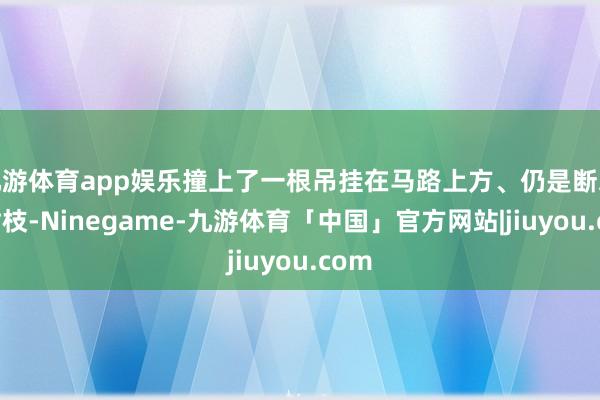 九游体育app娱乐撞上了一根吊挂在马路上方、仍是断裂的树枝-Ninegame-九游体育「中国」官方网站|jiuyou.com