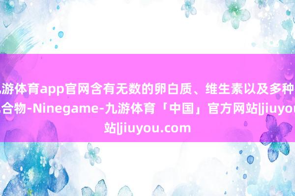 九游体育app官网含有无数的卵白质、维生素以及多种矿物资化合物-Ninegame-九游体育「中国」官方网站|jiuyou.com